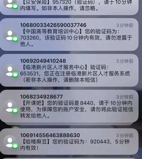 短信轰炸压力测试-黑猫知道